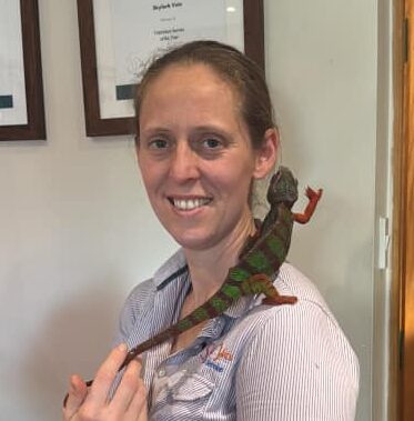 Reptile Vet