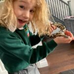 Snake Vet
