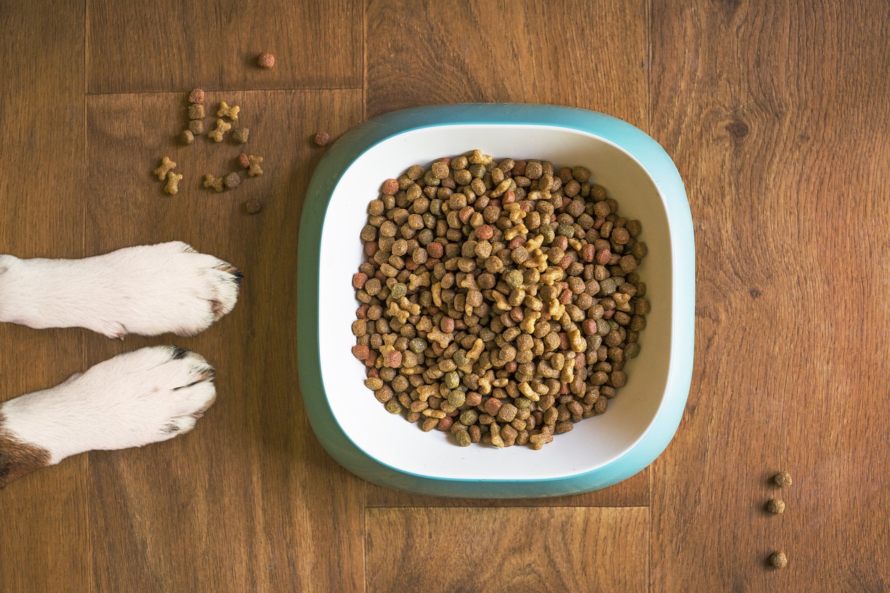 Dog diets